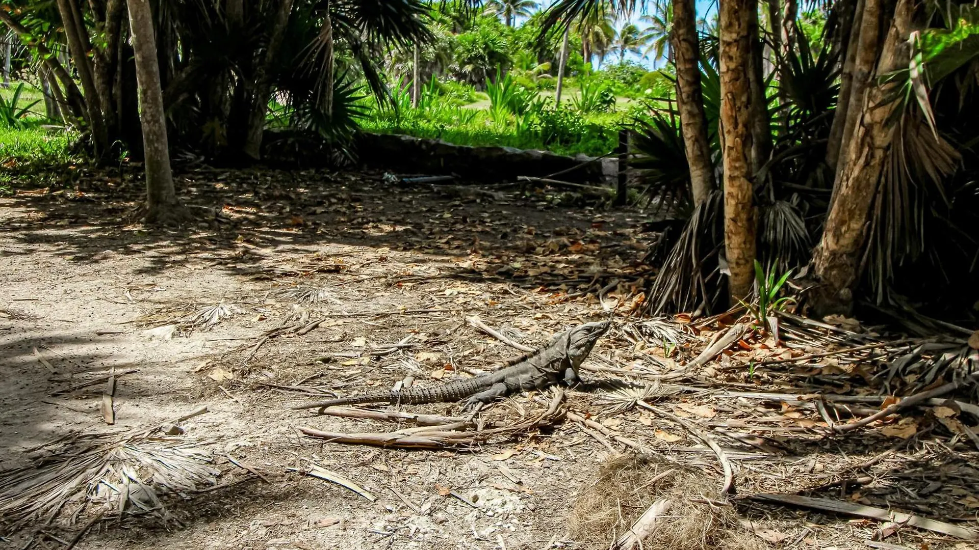 Menesse Tulum 204B, Picture Perfect Paradise 0*,  Mexiko